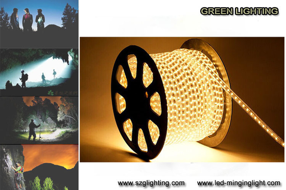 Kleurrijke de Veiligheids LEIDENE van SMD5050 7.2W/van M 0.6A Flexibele Strook Lichte IP67 Waterdichte Rang