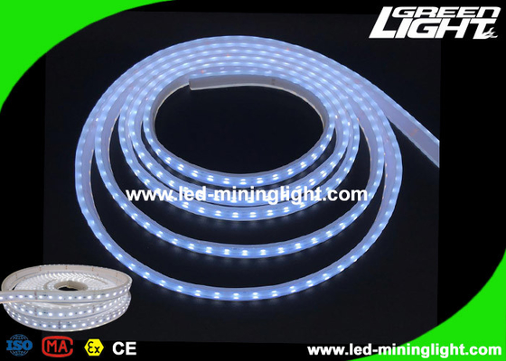 De explosiebestendige Veiligheid leidde de Flexibele Lichten van de Lintstrook met 5m 300 Leds 24V IP68
