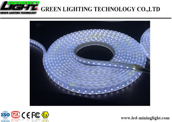 Openlucht LEIDENE Flexibele Strooklichten 60 Leds/M Bestand High Brightness Fire