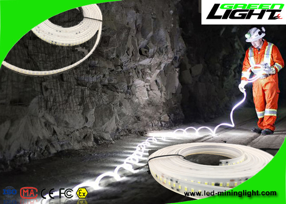 Waterdichte LEIDENE Flexibele Strooklichten 24v 60 Leds per Meter met 1 Jaargarantie