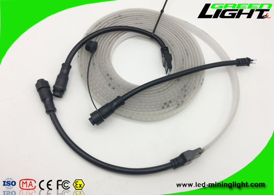 Sillicone maken de Materiële 12v LEIDENE Flexibele Strooklichten SMD 5050 IP68 50/60 Herz waterdicht