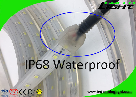 Sillicone maken de Materiële 12v LEIDENE Flexibele Strooklichten SMD 5050 IP68 50/60 Herz waterdicht