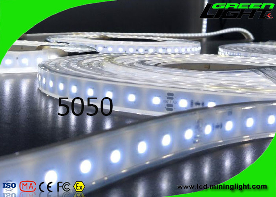 Sillicone maken de Materiële 12v LEIDENE Flexibele Strooklichten SMD 5050 IP68 50/60 Herz waterdicht