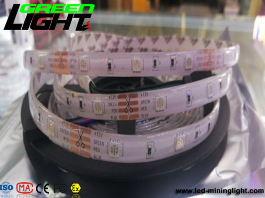 RGB SMD5050 LEIDENE van 12W IP65 Flexibele Strooklichten