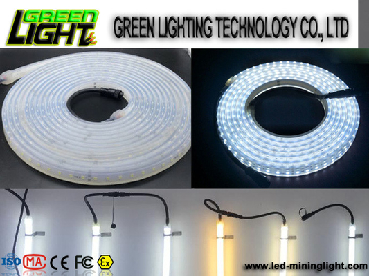 Silicone12w Ip68 SMD5050 Flexibele Geleide Lichte Stroken