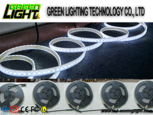 Silicone12w Ip68 SMD5050 Flexibele Geleide Lichte Stroken