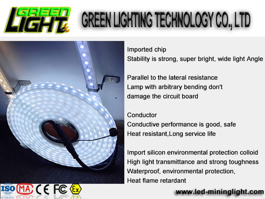 Silicone12w Ip68 SMD5050 Flexibele Geleide Lichte Stroken