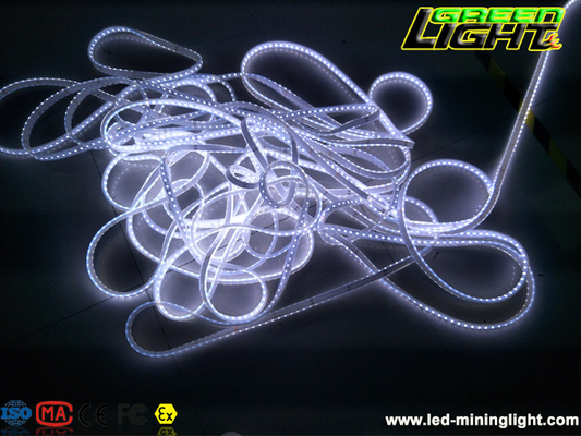 Anti Explosieve LEIDENE van 5500k 22Lum Flexibele Strook Lichte SMD5050 met de schokbestendige 5m/roll hoge helderheid van IP68 	DC24V