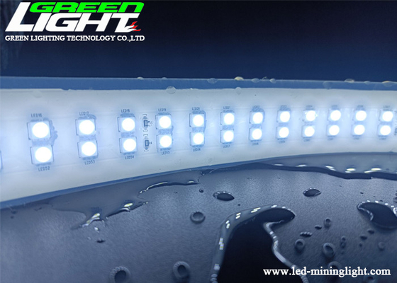 Dubbele Rijip68 SMD3528 LEIDENE Flexibele Strooklichten LEIDENE van SMD van AC220V 3528 of 5050 Epistar 2000Lum