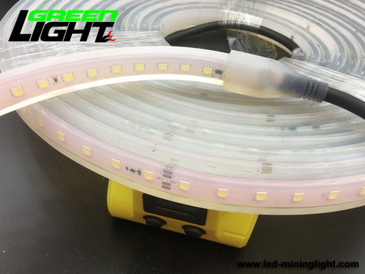 Waterdichte Geleide de Strooklichten 12V RGB ATEX van IP68 6500K SMD5050