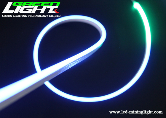 12W/M 6000K RGB LEIDENE Strook Lichte 480lum LEIDENE Flexibele Neonlichten