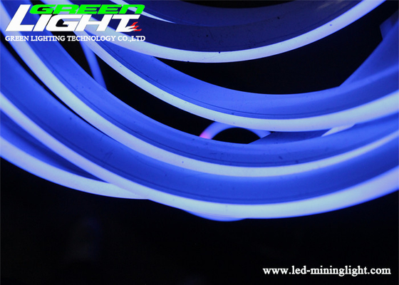 12W/M 6000K RGB LEIDENE Strook Lichte 480lum LEIDENE Flexibele Neonlichten