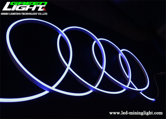 12W/M 6000K RGB LEIDENE Strook Lichte 480lum LEIDENE Flexibele Neonlichten