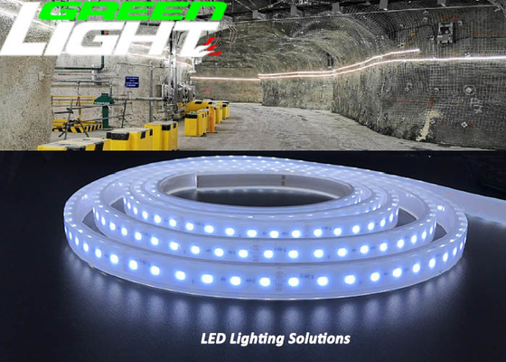 Waterdichte LEIDENE van EXIBII 17W/M Flexibele Strooklichten SMD2835 110V 1630Lum