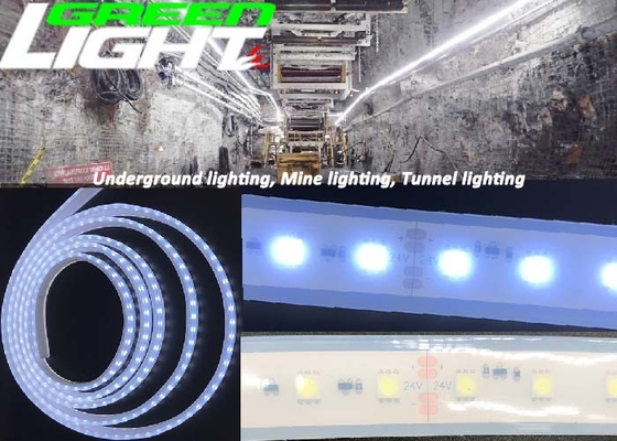 LEIDENE van 1630lum 220V 17W/M Flexibele Strooklichten Anti Explosieve RGB SMD2835