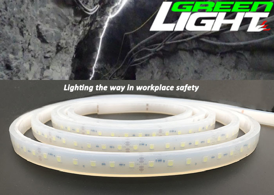 LEIDENE van 1630lum 220V 17W/M Flexibele Strooklichten Anti Explosieve RGB SMD2835