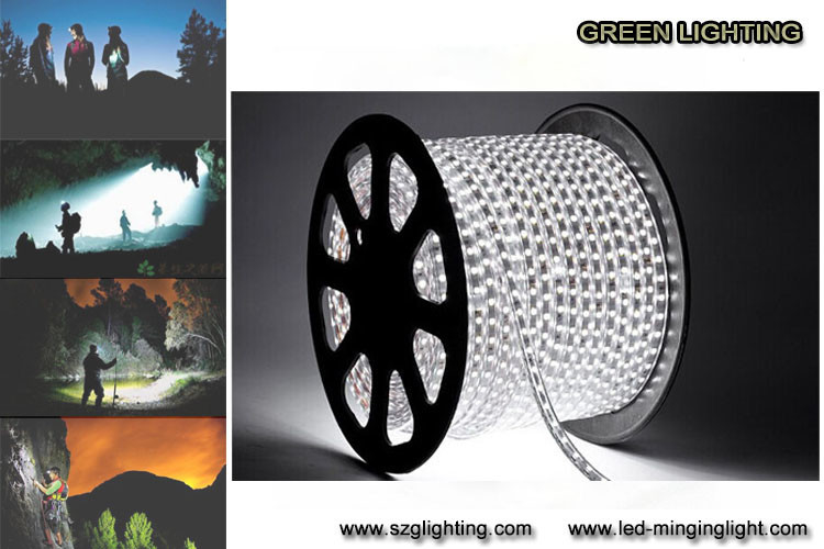Kleurrijke de Veiligheids LEIDENE van SMD5050 7.2W/van M 0.6A Flexibele Strook Lichte IP67 Waterdichte Rang