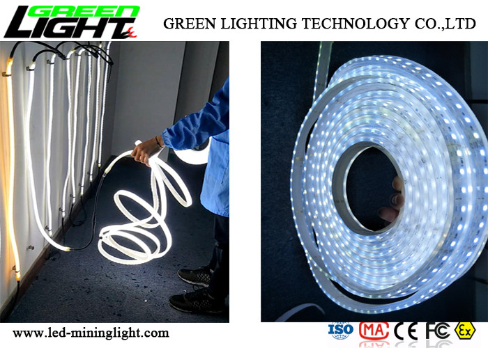 Corrosiebestendig Geleid Flex Strip Rope Light SMD5050 voor het Een tunnel graven van Installatie