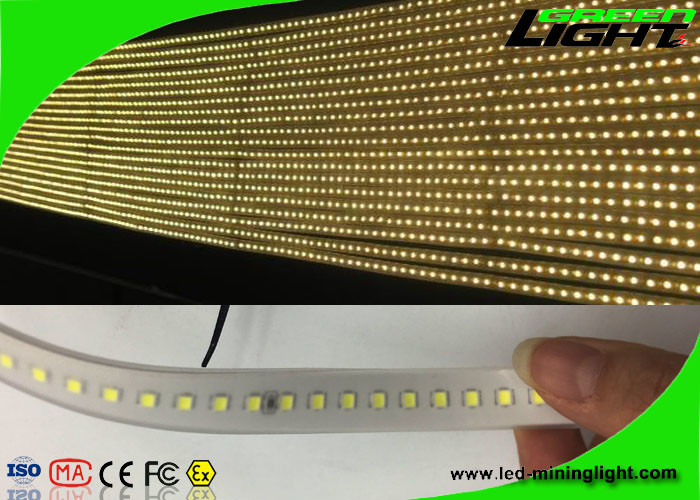Sillicone maken de Materiële 12v LEIDENE Flexibele Strooklichten SMD 5050 IP68 50/60 Herz waterdicht